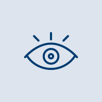 Vision